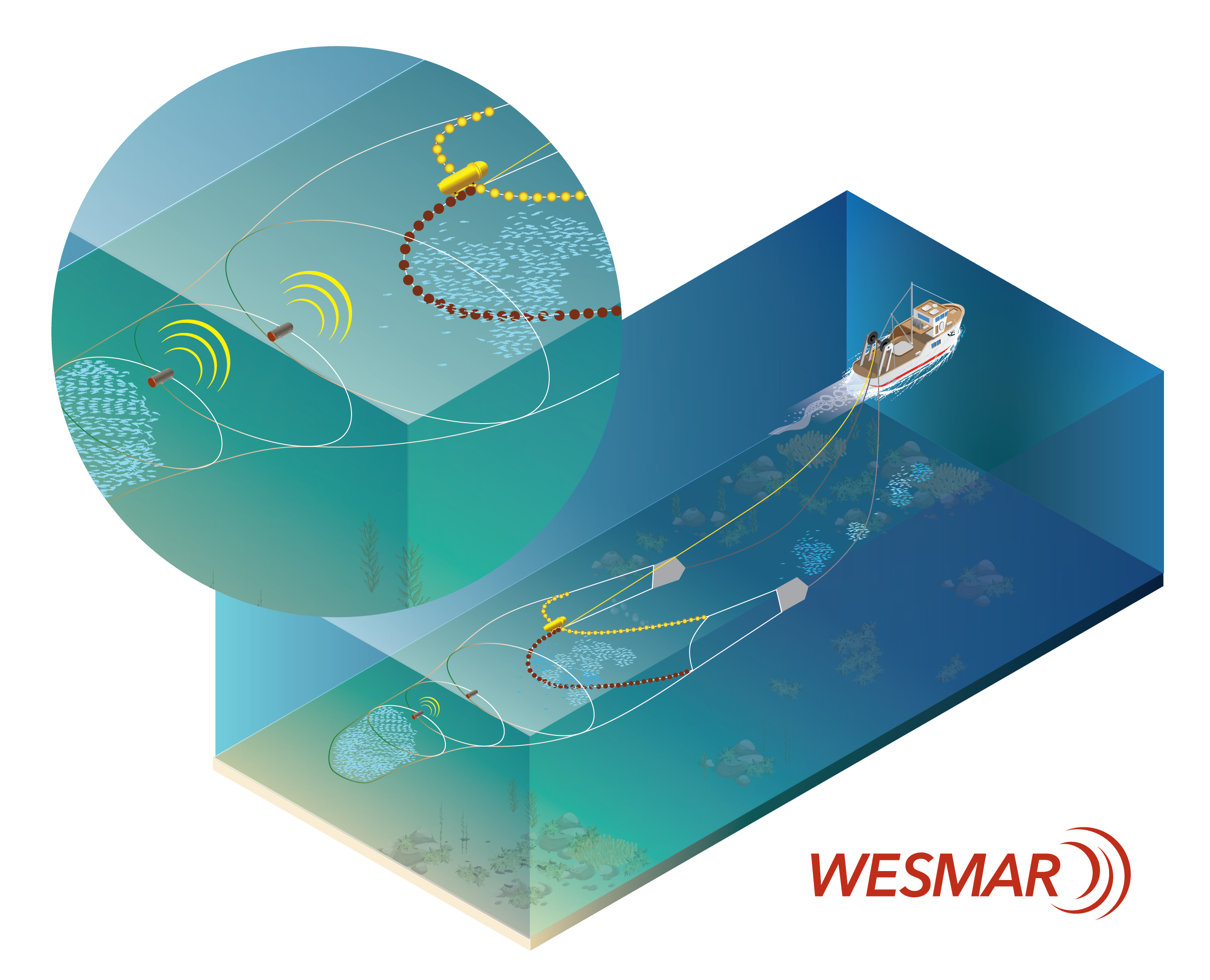 Catch Sensor Placement on Trawl Net